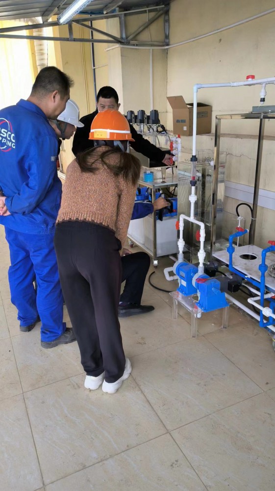 为中远海运广州净海油污水工程有限公司大规模投建的小型水处理测试系统